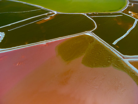 Pink lakes and ocean, nature  in Las Coloradas, Mexicoの写真素材