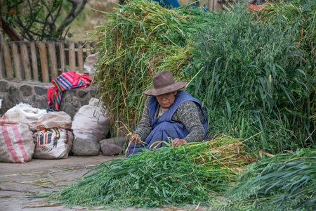 PERU - MAY 5, 2022: Peruvian people in traditional clothes in Ollataytambo. Woman selling on the street in Ollataytambo, Peru, May 5, 2022のeditorial素材