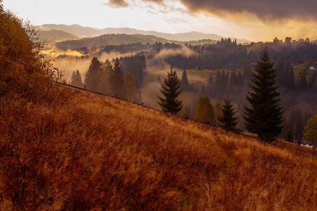 Sunrise misty morning taken in Carpathian mountains, Ukraineの写真素材