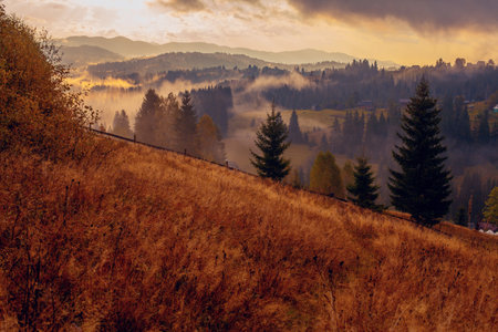 Sunrise misty morning taken in Carpathian mountains, Ukraineの写真素材