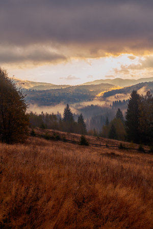 Sunrise misty morning taken in Carpathian mountains, Ukraineの写真素材