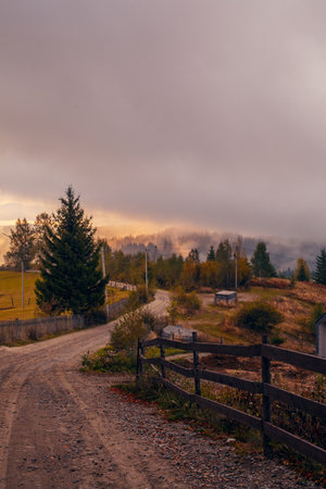 Sunrise misty morning taken in Carpathian mountains, Ukraineの写真素材
