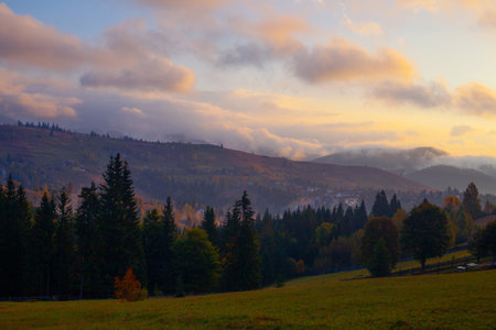 Sunrise misty morning taken in Carpathian mountains, Ukraineの写真素材