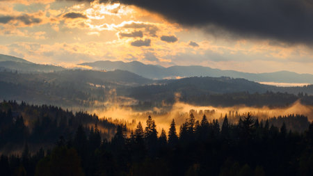 Sunrise misty morning taken in Carpathian mountains, Ukraineの写真素材