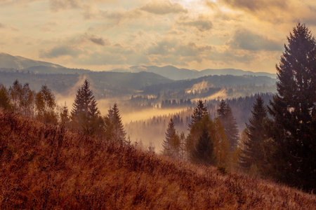 Sunrise misty morning taken in Carpathian mountains, Ukraineの写真素材