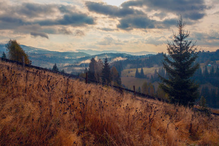 Sunrise misty morning taken in Carpathian mountains, Ukraineの写真素材