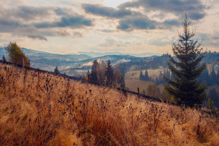 Sunrise misty morning taken in Carpathian mountains, Ukraineの写真素材