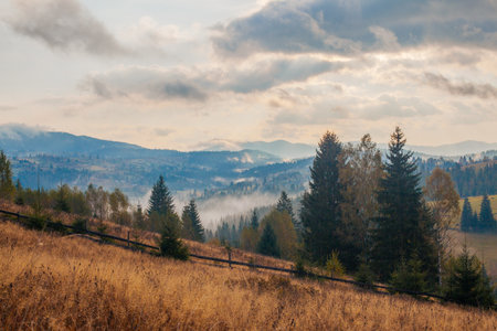 Sunrise misty morning taken in Carpathian mountains, Ukraineの写真素材