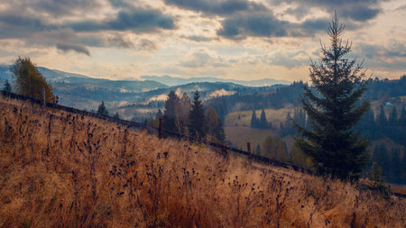 Sunrise misty morning taken in Carpathian mountains, Ukraineの写真素材