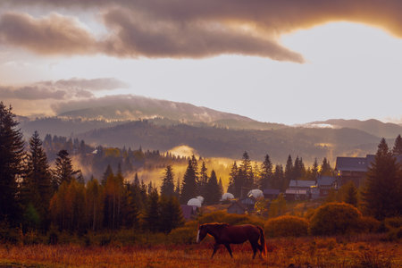 Sunrise misty morning taken in Carpathian mountains, Ukraineの写真素材