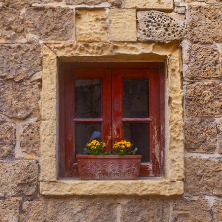 Window with kalanhoe flowerpot on the Narrow street of ancient city Rabat with traditional maltese houses built of limestone, Victoria, Maltaの写真素材