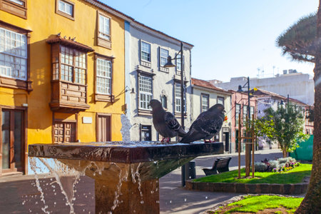 San Cristobal de La Laguna, Tenerife, Spain - February 17, 2022: Fountain with pigeons, Old buildings in La Laguna downtownの写真素材
