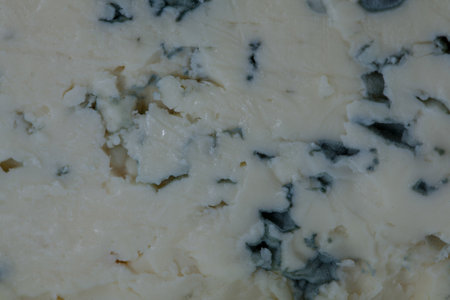 Close up of blue cheese. Cheese backgroundの写真素材