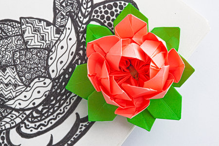 Origami lotus and lotus picture in graphics with ornamentsの写真素材