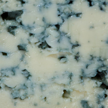 Close up of blue cheese. Cheese backgroundの写真素材