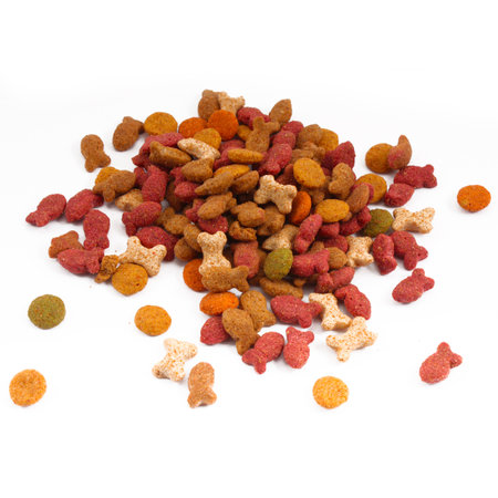 Cat foodの写真素材