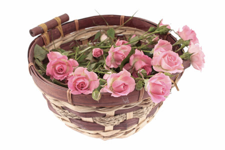 Pink roses in a basketの写真素材