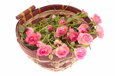 Pink roses in a basketの写真素材