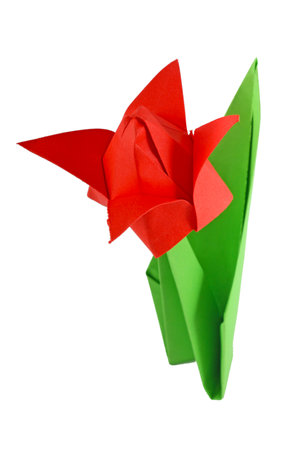 Origami tulip isolated on whiteの写真素材
