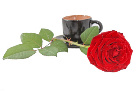 Coffee cup and red roseの写真素材