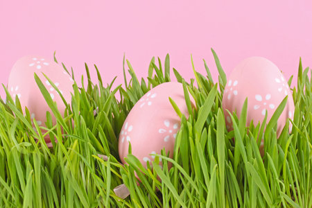 egg easter in a grass on lilac backgroundの写真素材