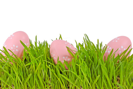 egg easter in a grass Isolated on whiteの写真素材