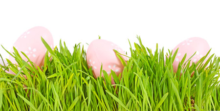 egg easter in a grass Isolated on whiteの写真素材
