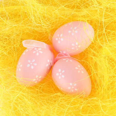 Chick and eggs in the yellow nestの写真素材