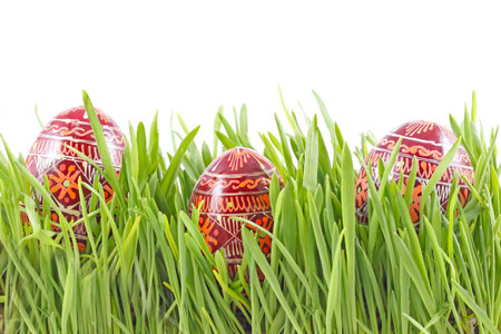 egg easter in a grass Isolated on whiteの写真素材