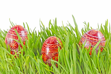 egg easter in a grass Isolated on whiteの写真素材