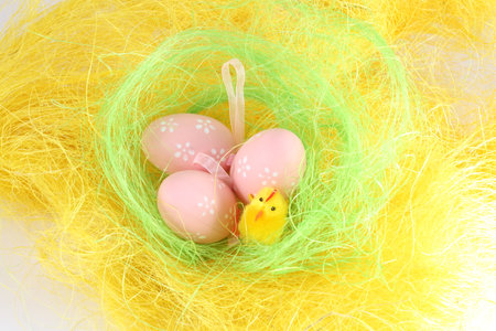 Chick and eggs in the yellow nestの写真素材