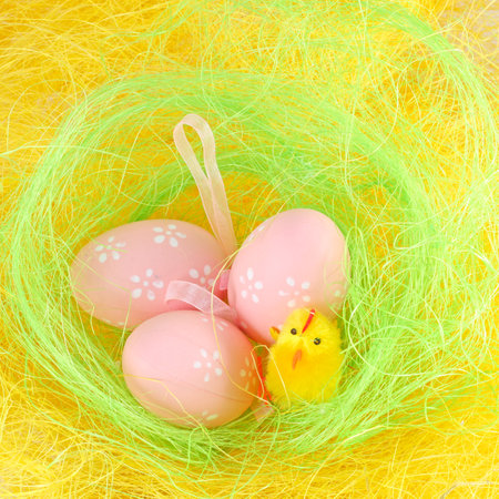 Chick and easter eggs in the yellow nestの写真素材