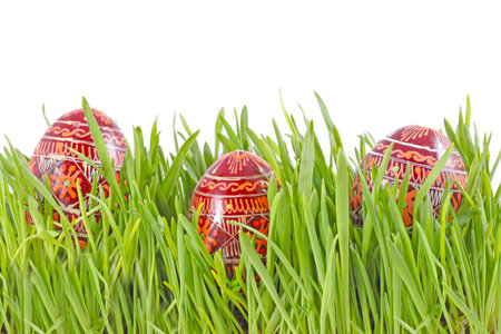 egg easter in a grass Isolated on whiteの写真素材