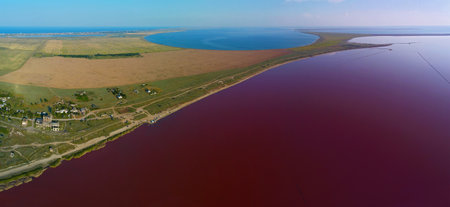 Pink lake and estuary top view, Arabatskaya Strelka, Southern Ukraineの写真素材