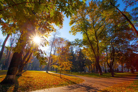 Golden colorful autumn in Maryinskyi park in Kyiv, Ukraineの写真素材