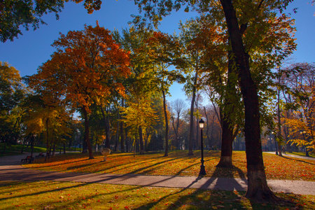 Golden colorful autumn in Maryinskyi park in Kyiv, Ukraineの写真素材
