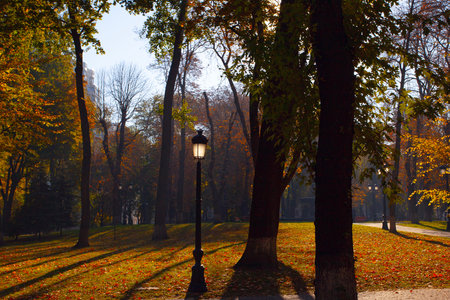 Golden colorful autumn in Maryinskyi park in Kyiv, Ukraineの写真素材
