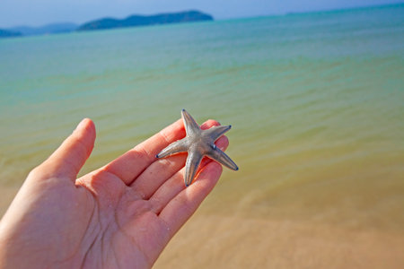 Starfish in hand and Bright colors of the nature, morning on Pantai Cenang beach, Langkawi island, Malaysiaの写真素材