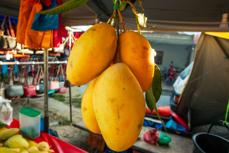 Fresh mango fruits on Langkawi market, Malaysiaの写真素材