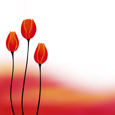 Abstract background red yellow tulip flower illustration vectorのイラスト素材