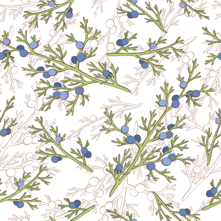 Juniper graphic color seamless pattern sketch illustration vectorのイラスト素材