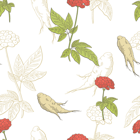 Ginseng graphic color seamless pattern sketch illustration vectorのイラスト素材