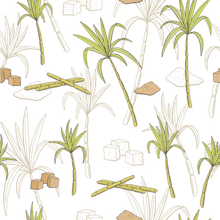 Sugarcane graphic color seamless pattern sketch illustration vectorのイラスト素材