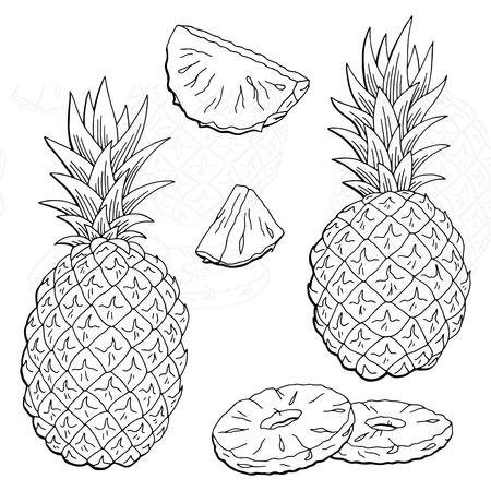 Pineapple fruit graphic black and white isolated sketch illustration vectorのイラスト素材