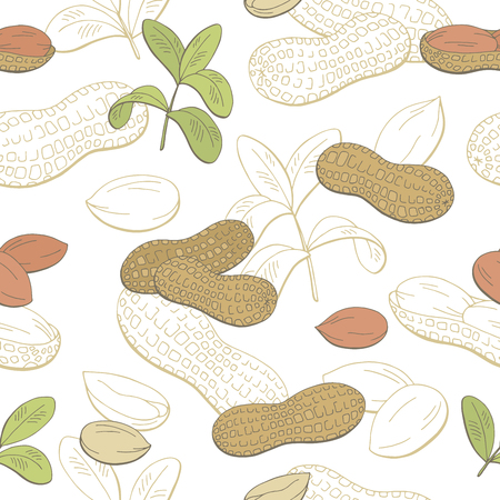 Peanut graphic color sketch seamless pattern illustration vectorのイラスト素材