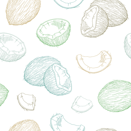 Coconut graphic sketch illustration vectorのイラスト素材