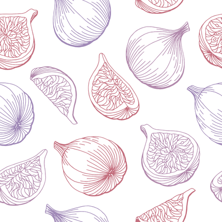 Fig fruit graphic color seamless pattern sketch background illustration vectorのイラスト素材