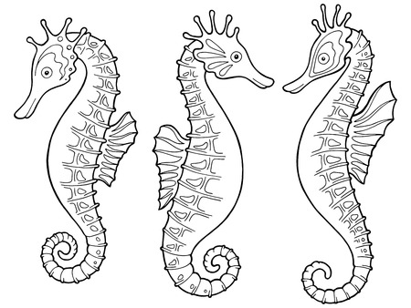Sea horse graphic black and white isolated sketch set illustration vectorのイラスト素材