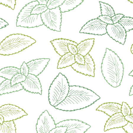 Mint plant graphic color seamless pattern background vector illustrationのイラスト素材
