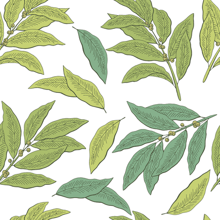 Bay leaf graphic green color seamless pattern background sketch illustration vectorのイラスト素材